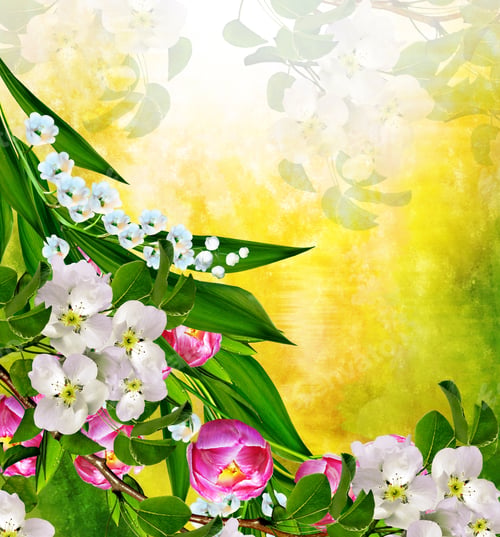 Vista previa: Spring Landscape. Flowering Pear. Spring Flowering Garden.
