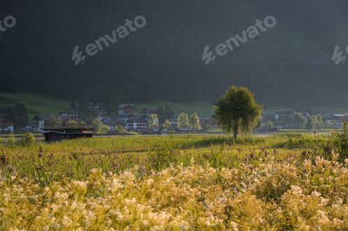 Preview: Weissensee Lake In An Early Morning And A Village