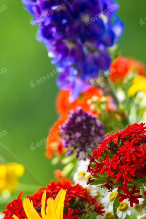 Preview: A Colorful Bouquet Of Bright Spring Flowers Of Various Types, Close-Up