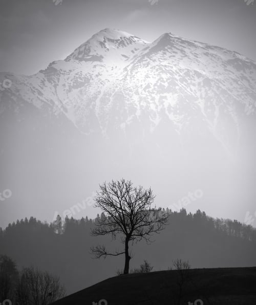Preview: Trees And Mountains