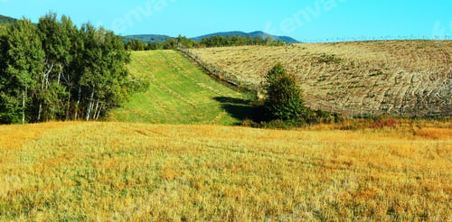 Preview: Mountain Meadow In Autumn Landscape
