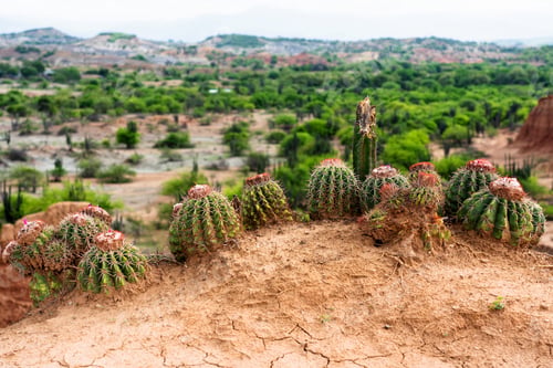 Preview: Desert Tatacoa - Desierto De La Tatacoa, Colombia