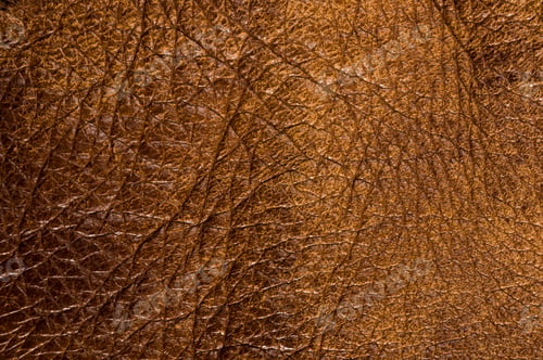 Preview: Old Vintage Genuine Soft Brown Leather Texture Background, Top Layer With Pores And Scratches
