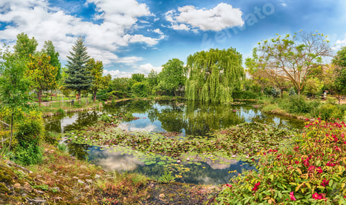 Preview: Idillic Small Pond In The Forest With Beautiful Reflections