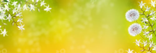 Preview: Floral Background With Bright Spring Flowers Bells