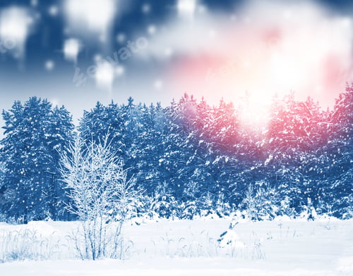 Preview: Frozen Winter Forest With Snow Covered Trees. Outdoor