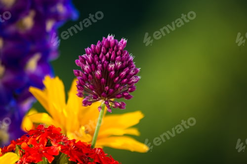 Preview: A Bouquet Of Bright Spring Flowers Of Various Types