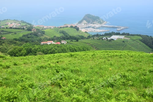 Preview: Green Rolling Landscape On The Basque Atlantic Coast