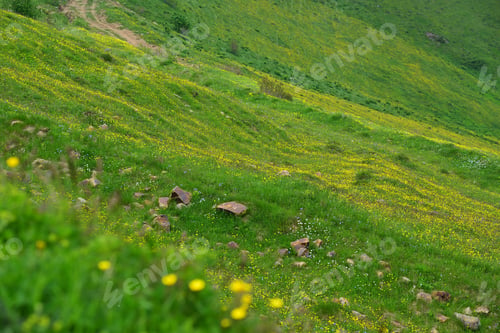 Preview: Summer Landscape