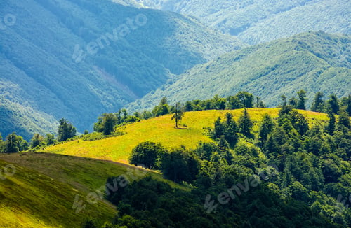Preview: Beautiful Summer Landscape. Green Grassy Meadow On A Hillside On Top Of Mountain Ridge With Some