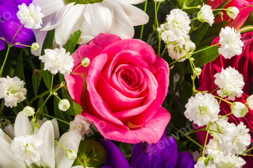 Preview: Background For A Greeting Card - Beautiful Gift Bouquet Of Various Colorful Decorative Summer