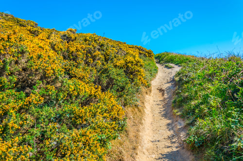 Preview: Ragged Coastline Of Howth Peninsula Near Dublin, Ireland