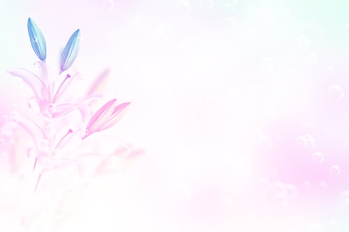 Preview: Colorful Beautiful Flowers Lily On The Background Of The Summer Landscape.