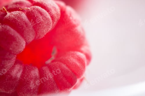 Preview: Raspberries On A White Saucer Close Up, Macro Photo