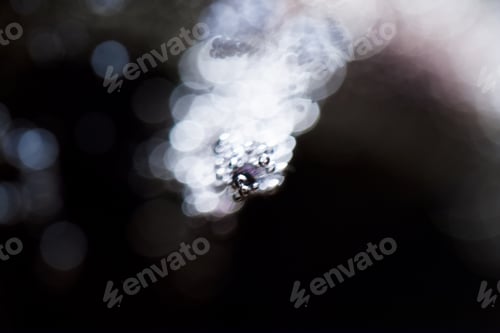 Preview: Abstract Underwater Games With Bubbles And Light