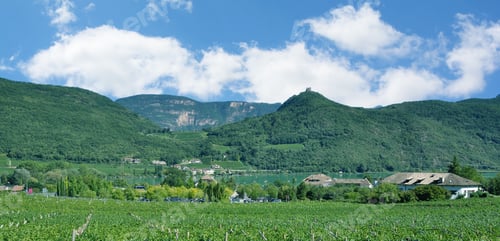 Preview: Panoramic View Of Lake Caldaro Or Kalterer See Near Appiano And Merano In South Tirol,Italy
