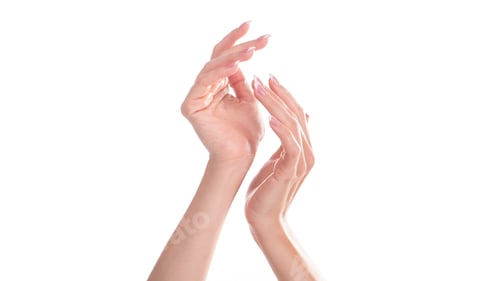 Preview: Woman Hands With Beautiful French Manicure. Isolated On White