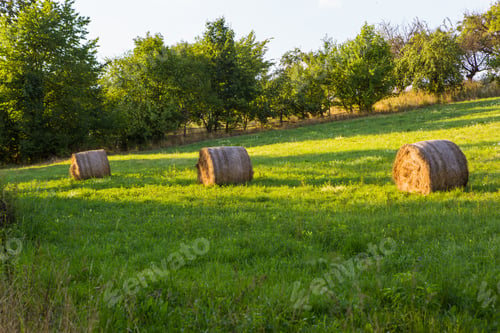 Preview: Hay Bales On Meadow At Sunny Day