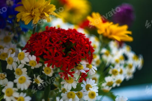 Preview: A Bouquet Of Bright Spring Flowers Of Various Types