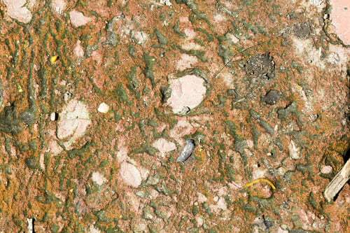 Preview: Old Brick Texture With Moss