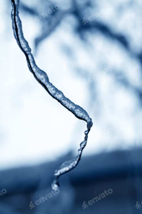 Preview: Ice And Icicles On A Weeping Willow Tree