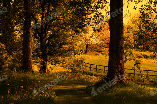 Preview: Abstract Woodland Scene In The Autumn Countryside.