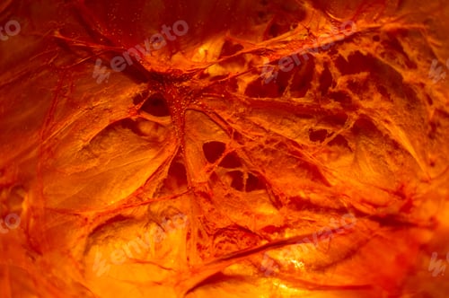 Preview: Amazing View Of The Cut Orange Pumpkin From The Inside, Close-Up
