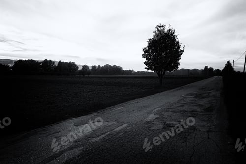 Preview: A Country Road Beneath A Cloudy Sky With A Tree Silhouette On The Left