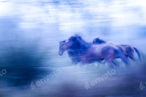 Preview: Running Wild Horses. Motion Blur Background. Abstract Nature And Animals Photos.