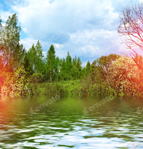 Preview: Spring Landscape. Green Trees In The Forest.