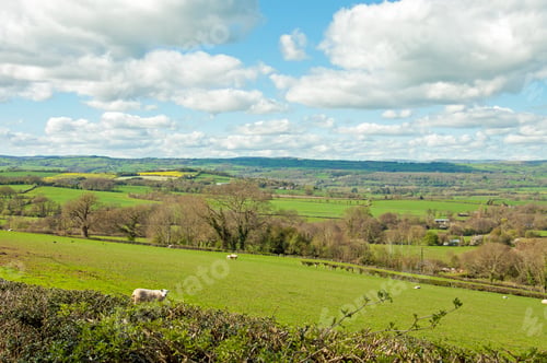 Preview: Summer Landscape Near The Black Mountains And Hay On Wye In England.