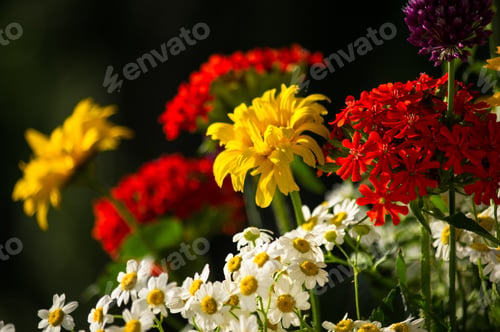 Preview: A Colorful Bouquet Of Bright Spring Flowers Of Various Types, Close-Up