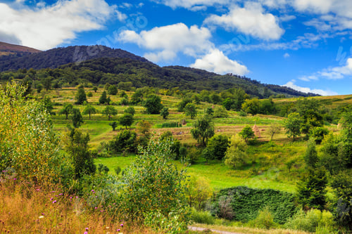 Preview: Clear Summer Day On Top Of A High Mountain