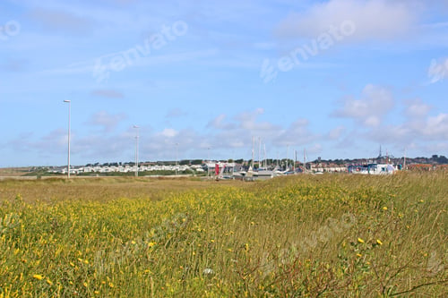 Preview: Causeway Beside Fleet Basin, Dorset