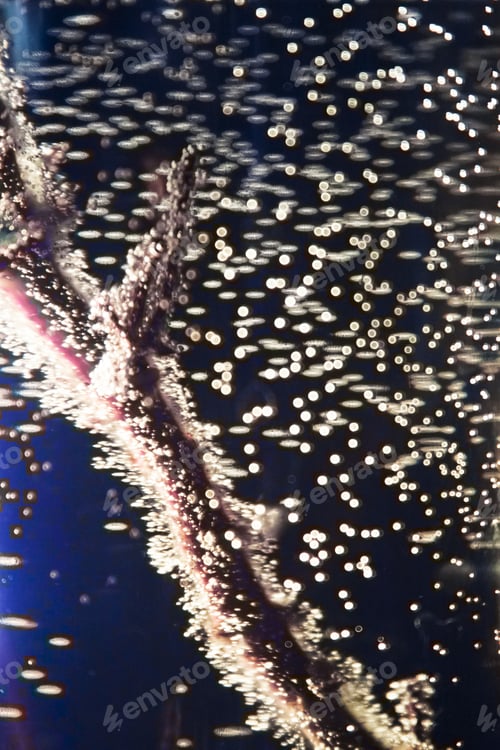 Preview: Abstract Underwater Games With Bubbles And Light