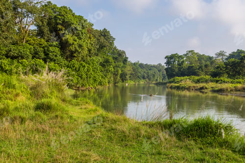Preview: Beautiful View Inside Of The Forest In The Royal Chitwan National Park, Rapti River, Sauraha