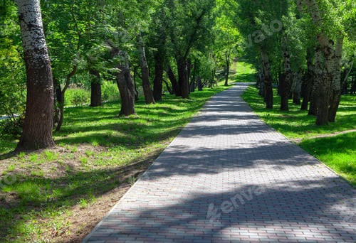 Preview: Walking In The Summer Park At Pedestrian Path