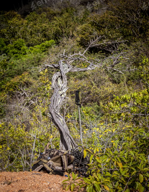Preview: Walking Above Knip - Views Around Curacao Caribbean Island