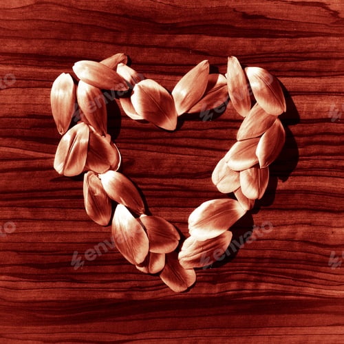 Preview: Heart Shape Made Of Tulip Petals