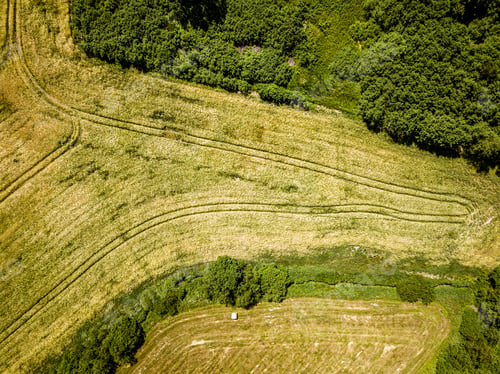 Preview: Cultivated Agriculture Fields From Above Birds Eye In Summer. Drone Aerial View