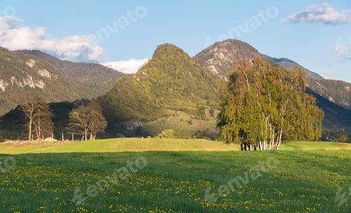 Preview: Sunset On The Fields And Meadows