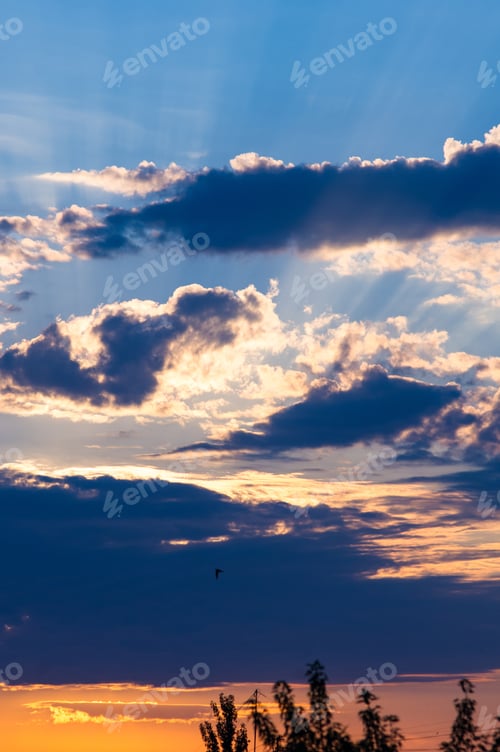 Preview: Landscape With Dramatic Light