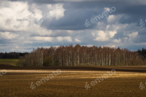 Preview: Processed Cereal Fields In Spring
