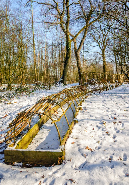 Preview: The Last Part Of The Trapping Pipe Of A Restored Dutch Duck Decoy Covered With A Layer Of Snow