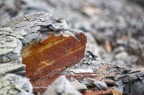 Preview: Rocks And Stones Of The Sea Coast