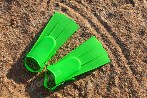 Preview: Green Flippers On The Seashell Background