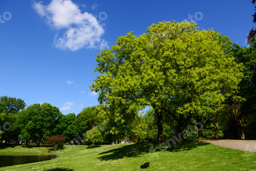 Preview: Beautiful Spring Park With Lake, Germany