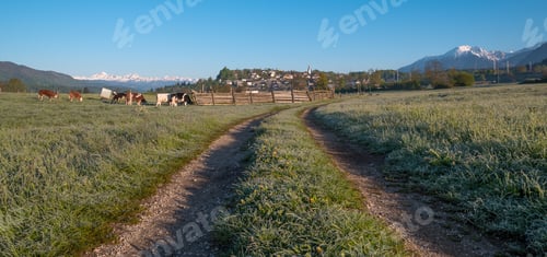 Preview: Misty Morning In Rural Countryside Of Slovenia