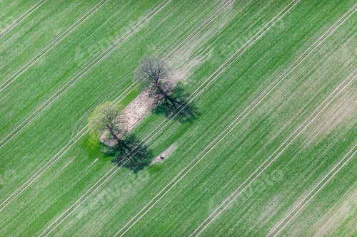 Preview: Aerial View Over The Rural Fields In Summertime