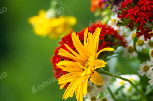 Preview: A Colorful Bouquet Of Bright Spring Flowers Of Various Types, Close-Up